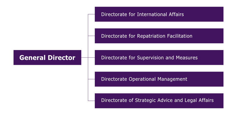 The DT&V consists of five departments: the Strategic Advice Unit, the Operational Management Unit, the Supervision and Measures Directorate, the Return Facilitation Directorate and the International Afffairs Directorate